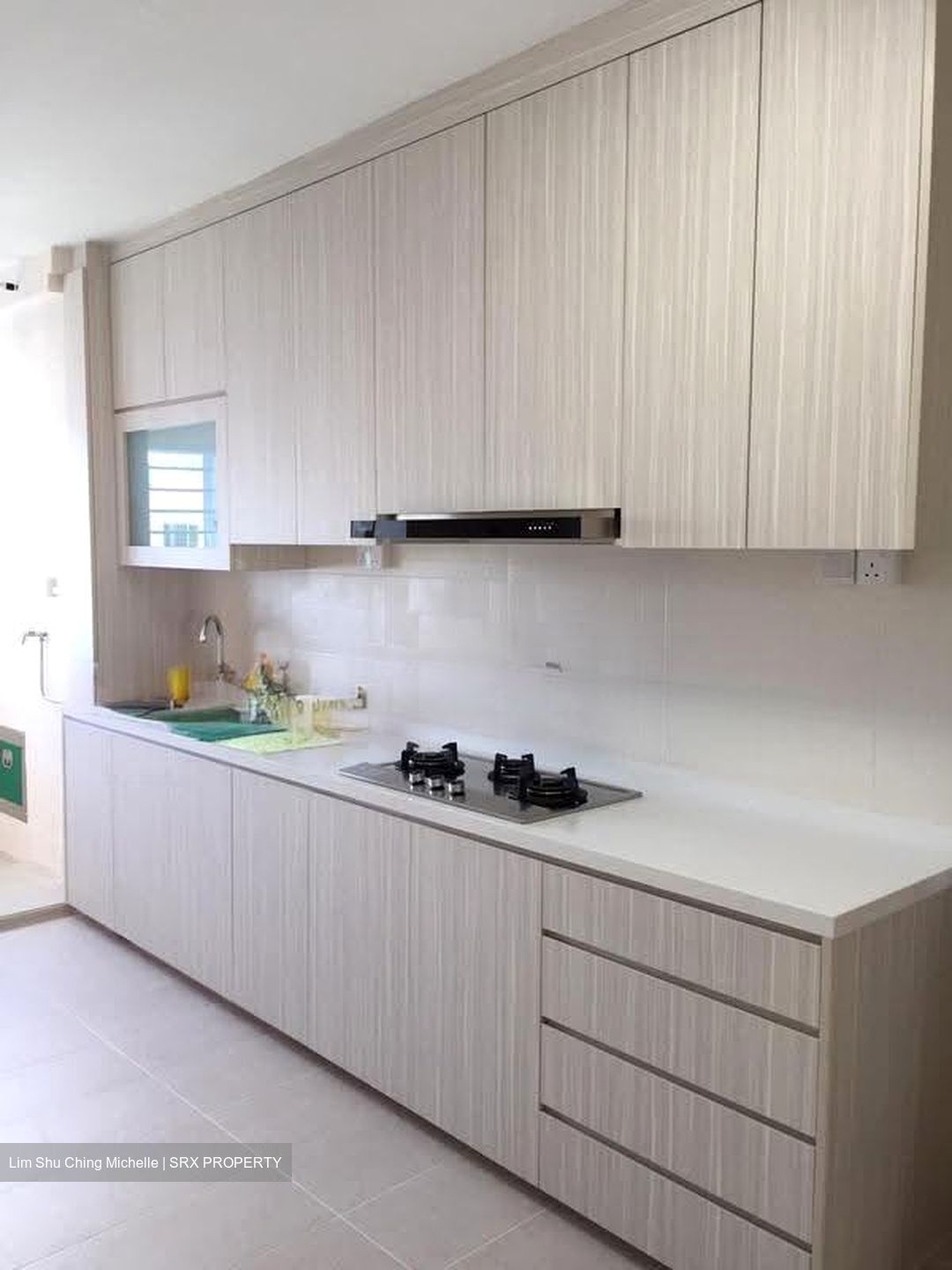 Blk 250 Tampines Street 21 (Tampines), HDB 3 Rooms #621116051